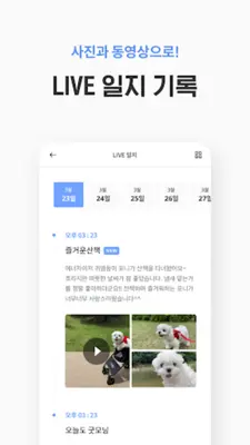 펫플래닛 - 펫시터, 가정집 산책케어, 돌봄 android App screenshot 1